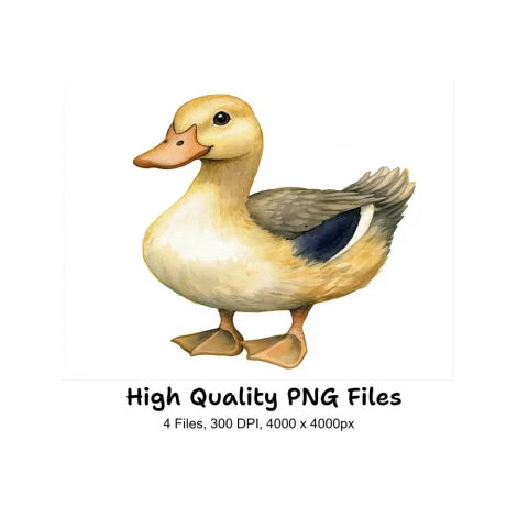 Cute Baby Ducklings Clipart Bundle