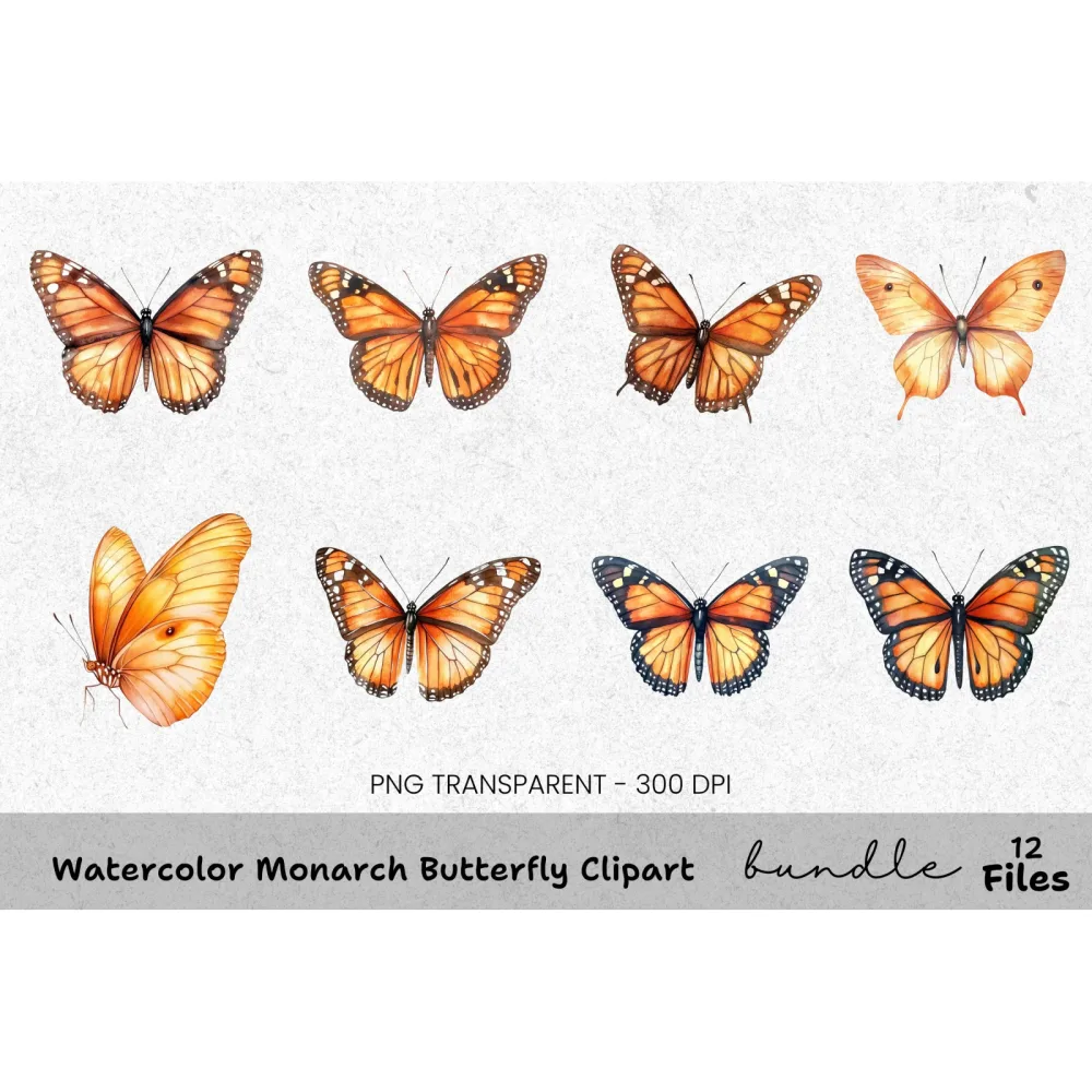 Monarch Butterfly Clipart Bundle