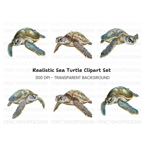 Green Sea Turtles Clipart Bundle
