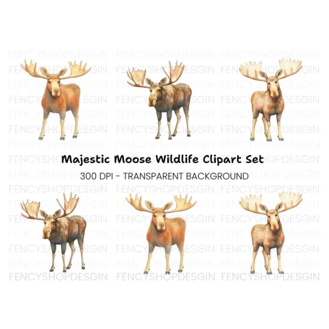 Moose Standing Clipart Bundle
