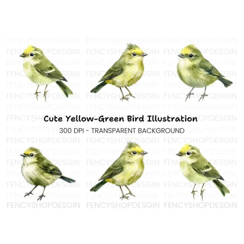 Cute Green Bird Clipart Bundle