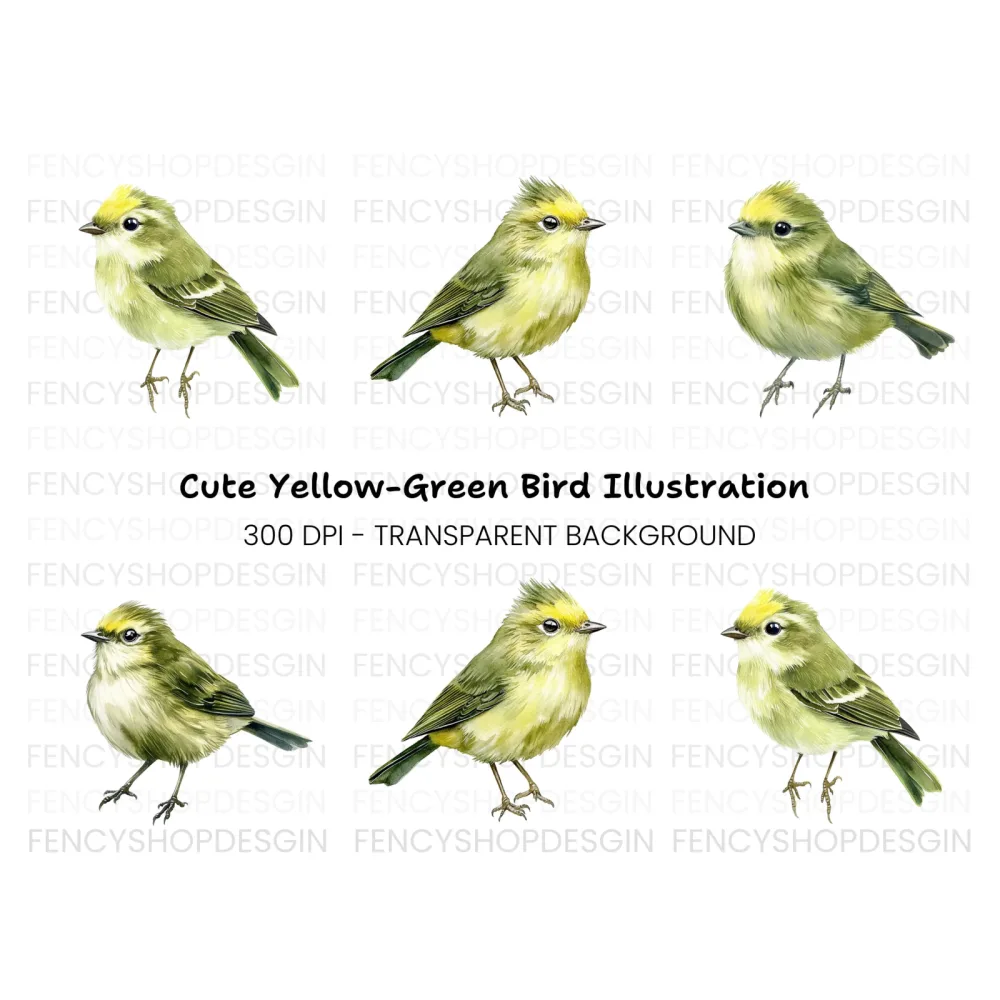 Cute Green Bird Clipart Bundle