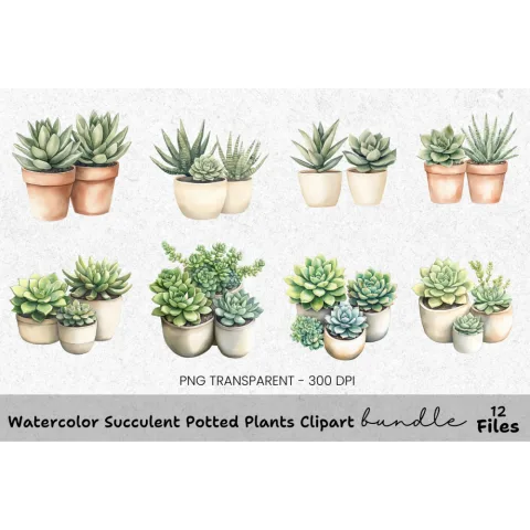 Succulent Potted Plants Clipart Bundle
