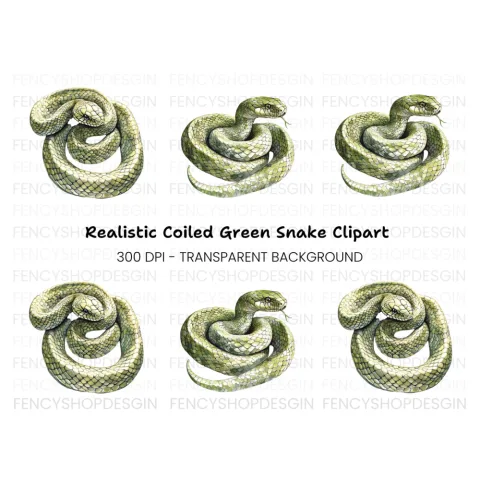 Realistic Green Snake Illustrations Clipart Bundle