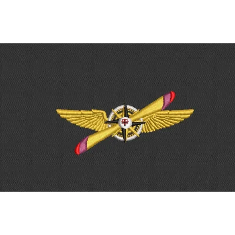 Plane Embroidery Design