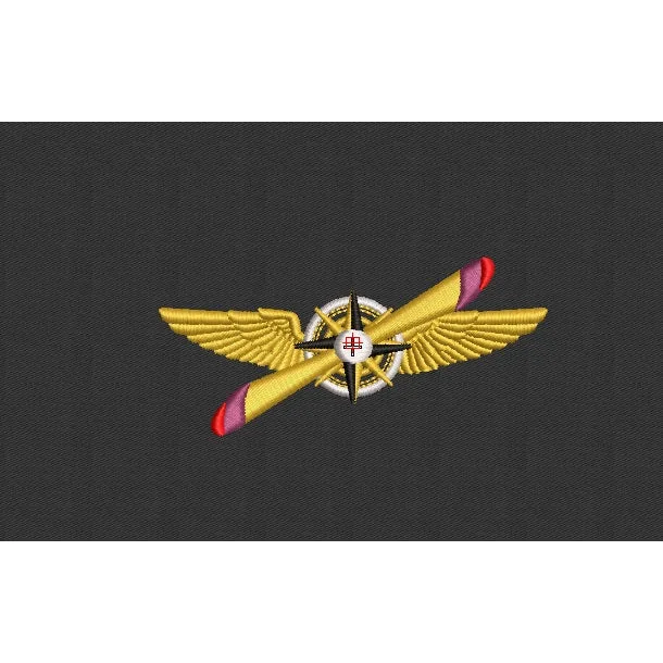 Plane Embroidery Design