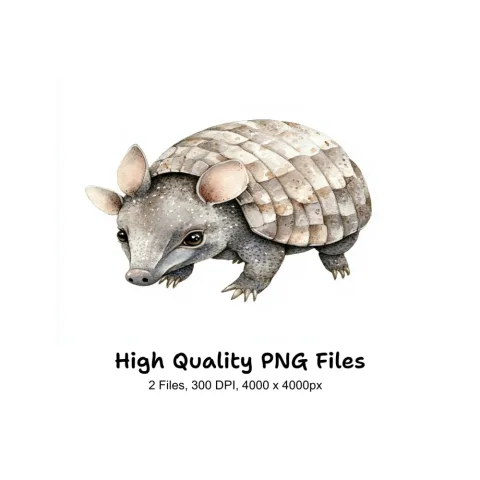 Cute Armadillo Clipart Bundle
