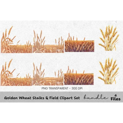Golden Wheat Stalks Field Clipart Bundle