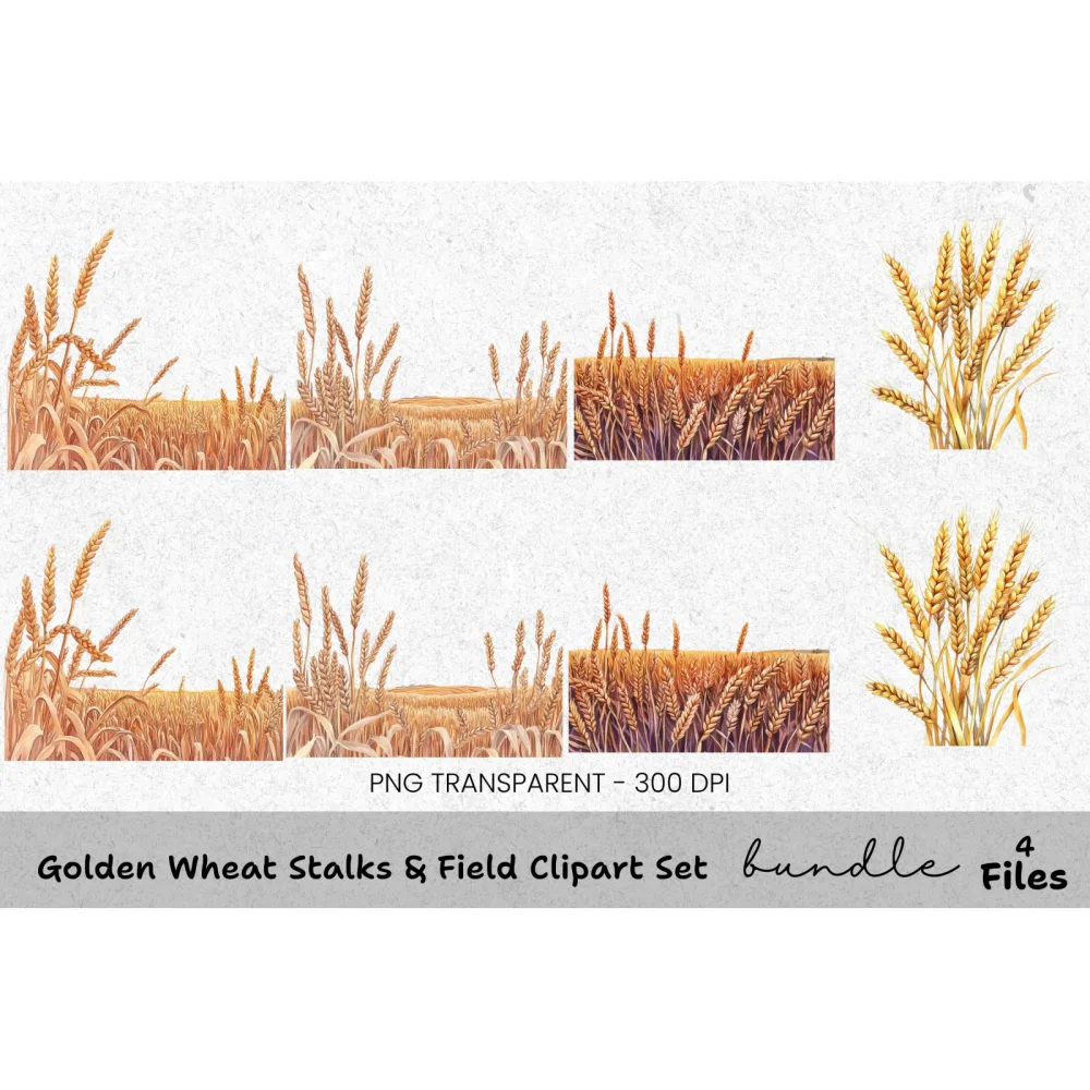 Golden Wheat Stalks Field Clipart Bundle