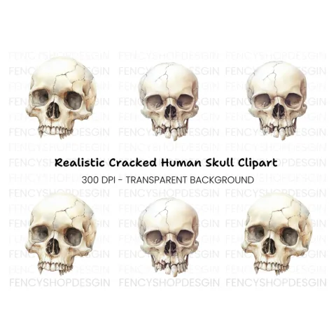 Detailed Skull Illustrations Clipart Bundle