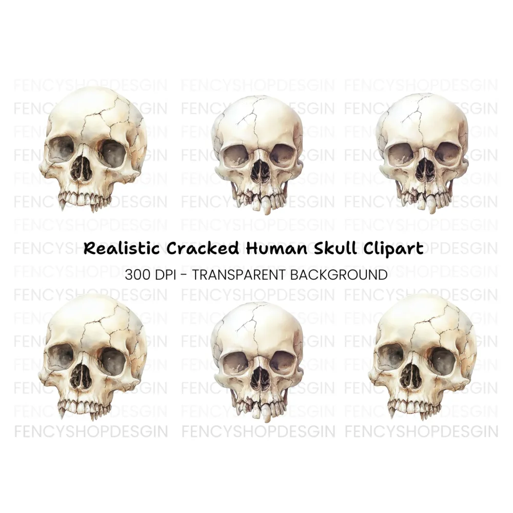 Detailed Skull Illustrations Clipart Bundle