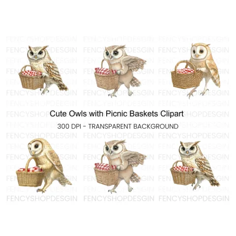 Cute Owls with Picnic Baskets Clipart Bundle