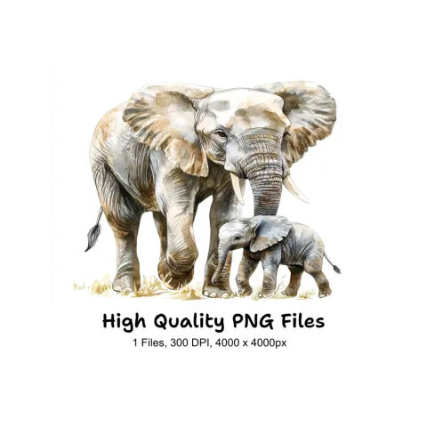 Cute Elephant Family Clipart Bundle