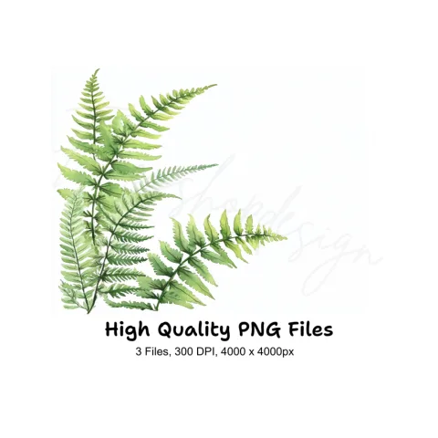 Green Fern Border Elements Clipart Bundle
