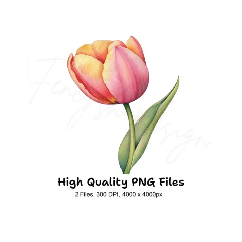 Elegant Pink and Yellow Tulip Clipart Bundle