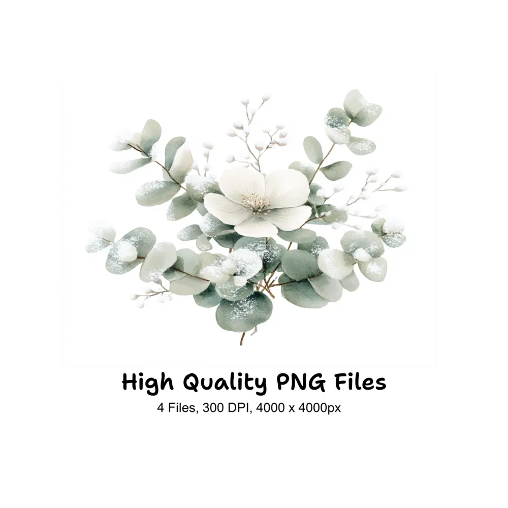 Eucalyptus Winter Flower Clipart Bundle