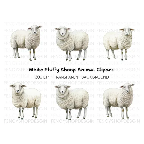 Fluffy White Sheep Clipart Bundle