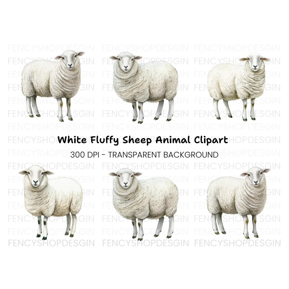 Fluffy White Sheep Clipart Bundle