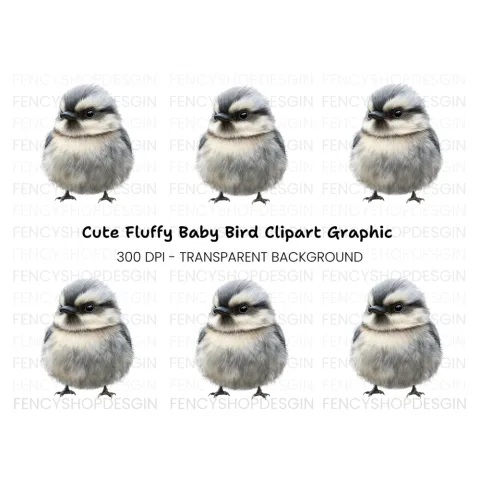Cute Baby Bird Illustration Clipart Bundle