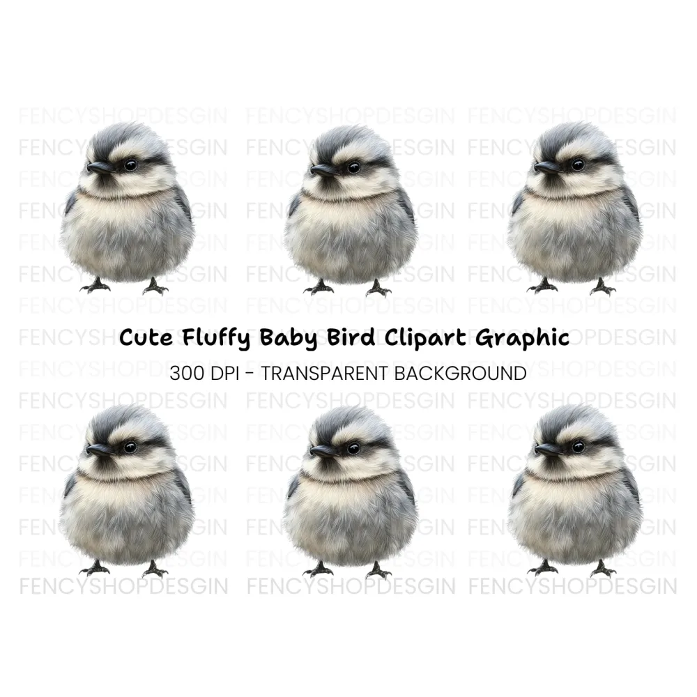 Cute Baby Bird Illustration Clipart Bundle