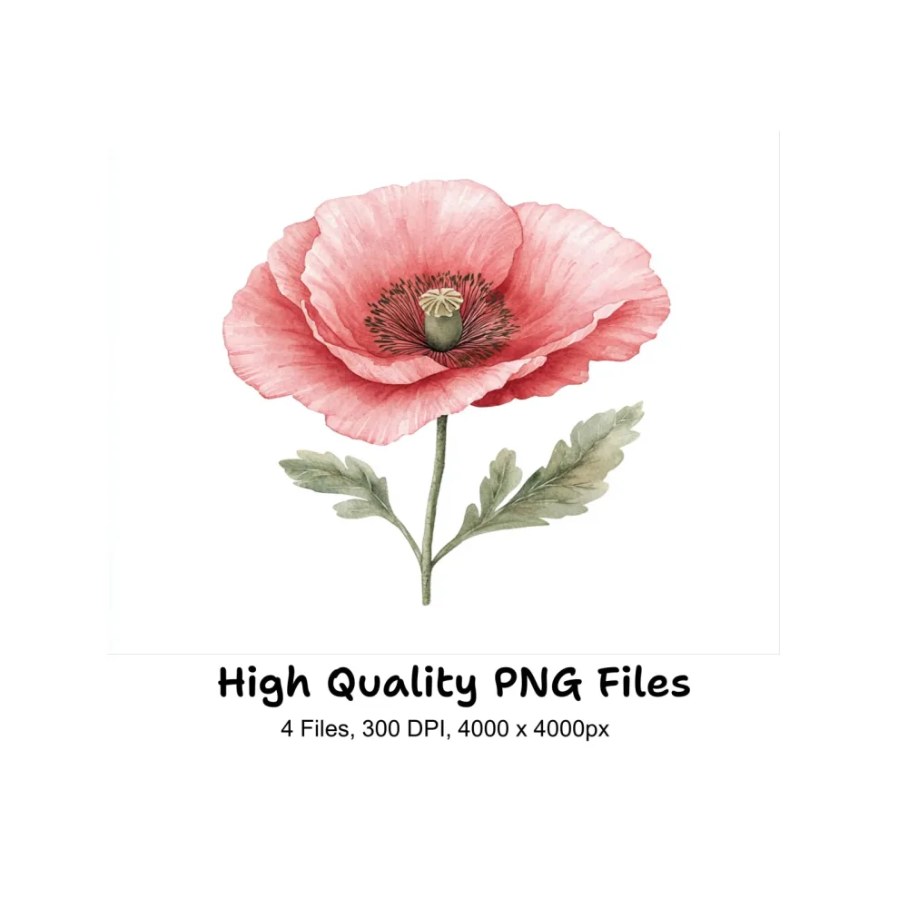 Pink Poppy Clipart Bundle