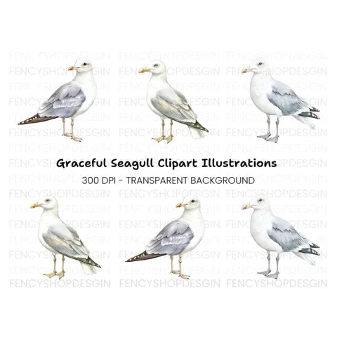 Graceful Seagull Clipart Bundle