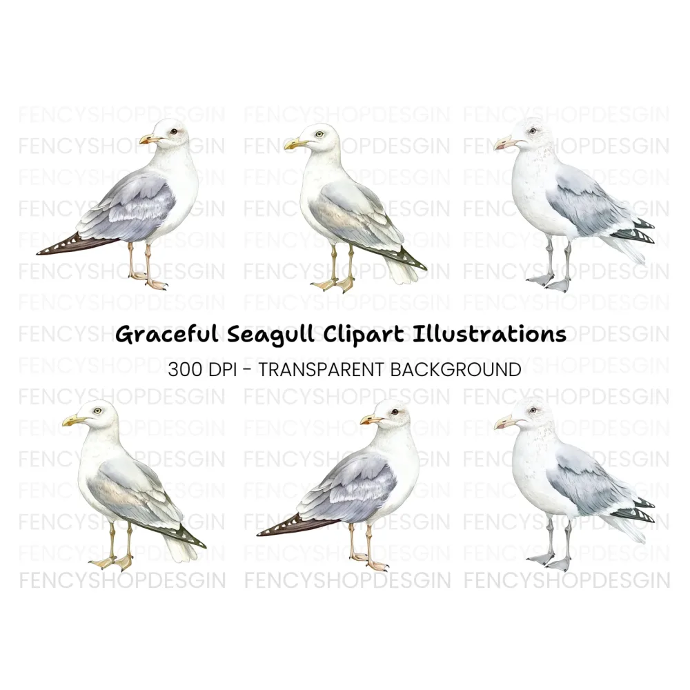 Graceful Seagull Clipart Bundle