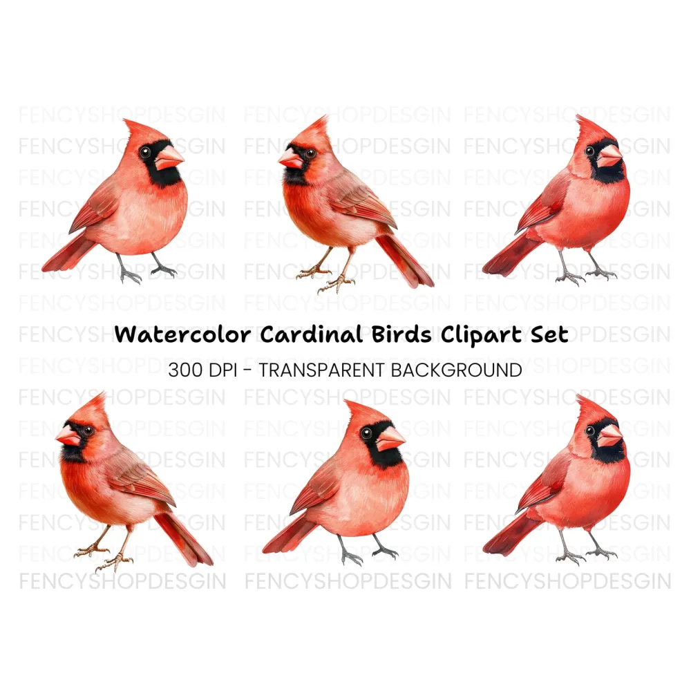 Realistic Red Cardinal Bird Clipart Bundle