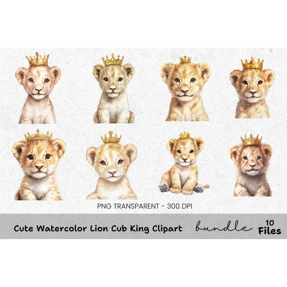 Cute Lion Cub King Clipart Bundle