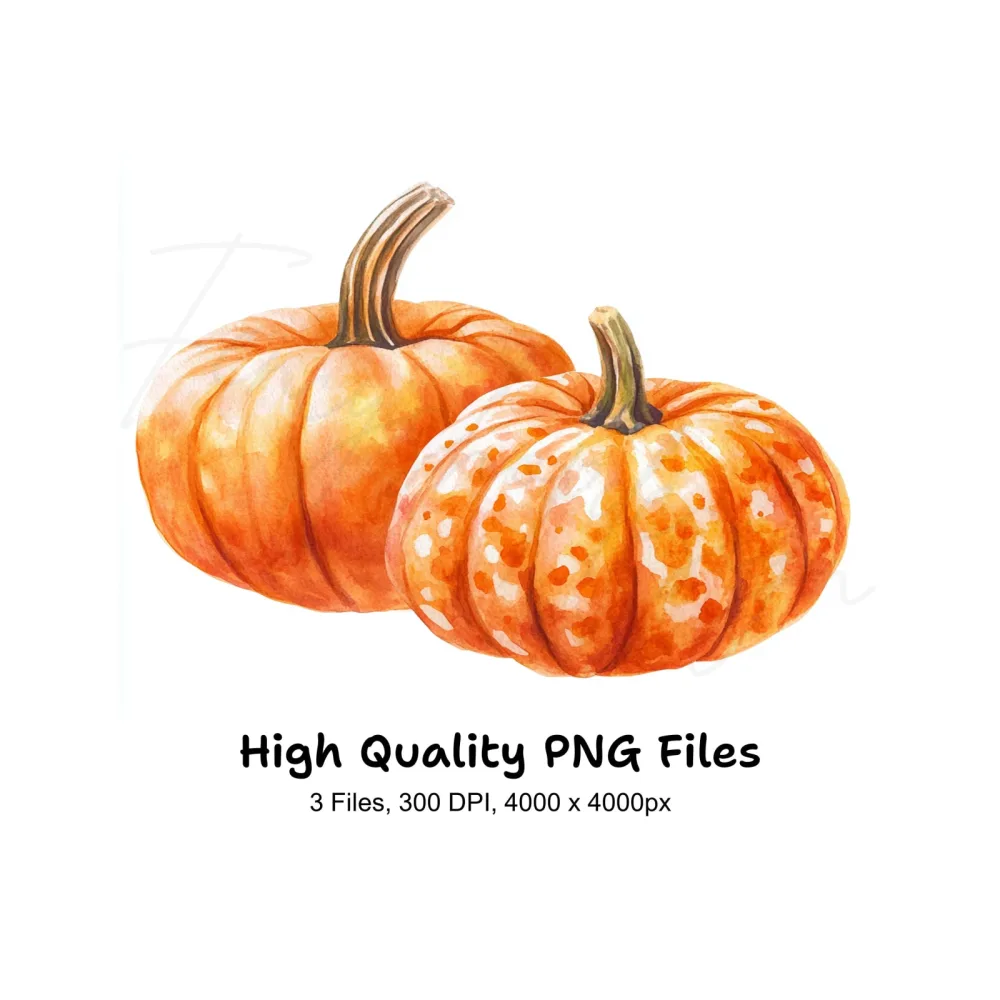 Rustic Pumpkin Clipart Bundle