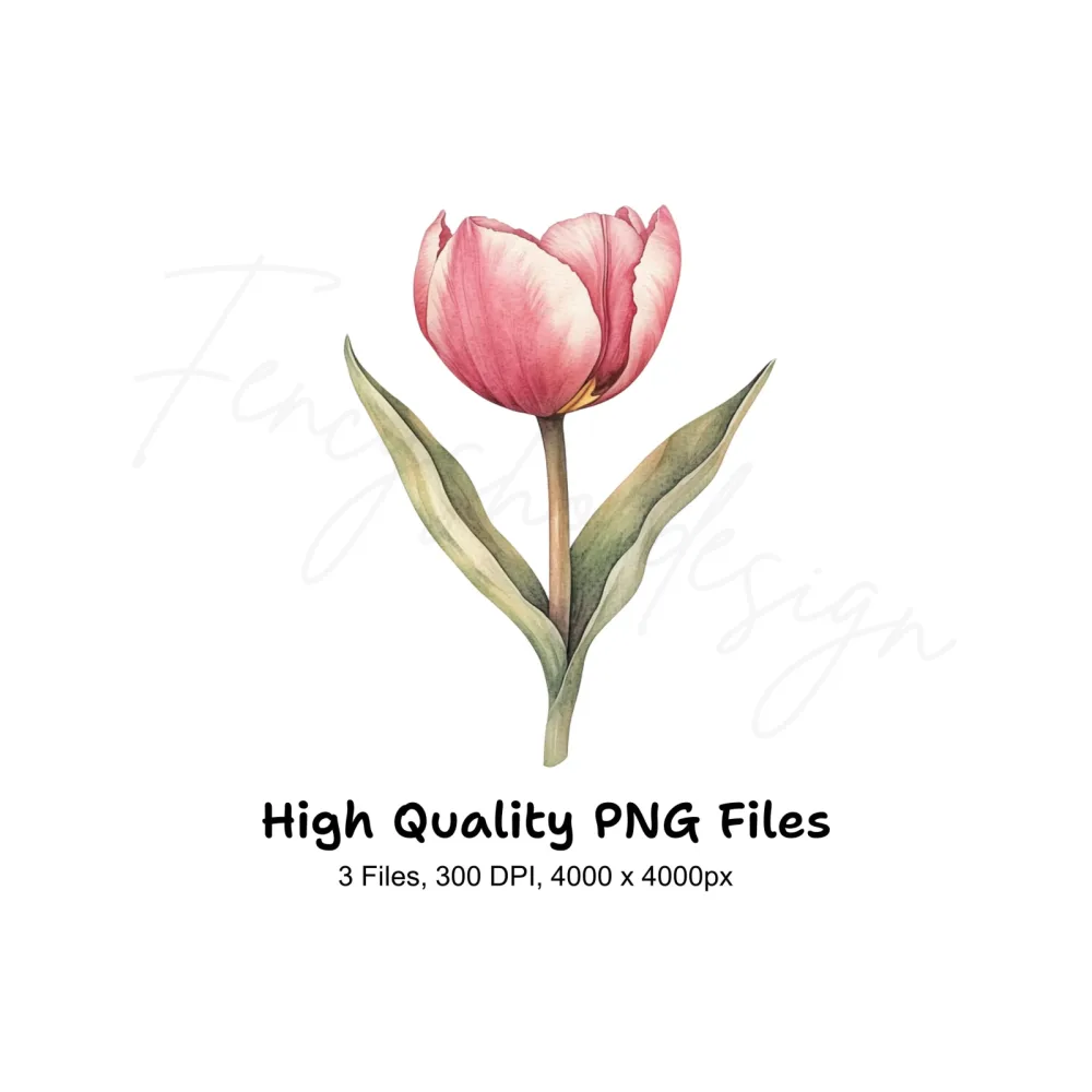 Single Tulip Flowers Clipart Bundle