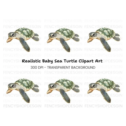 Cute Baby Sea Turtle Clipart Bundle
