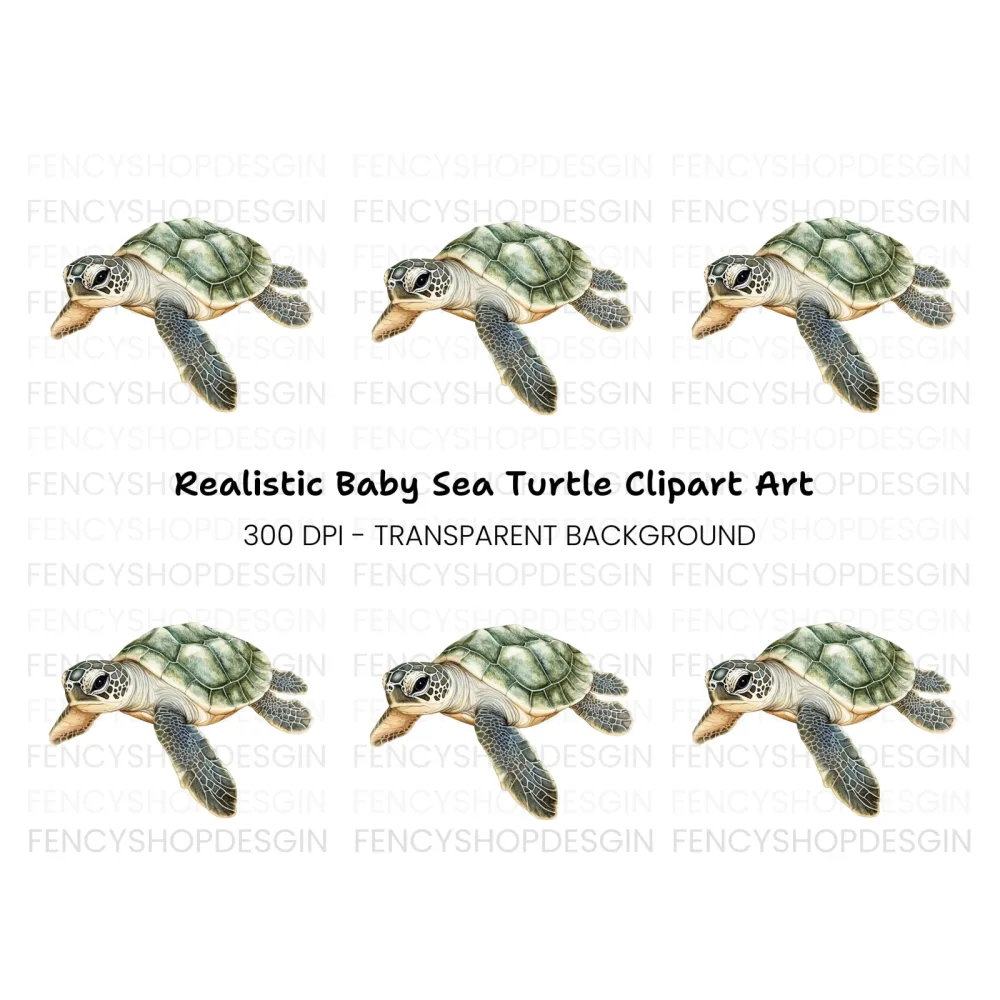 Cute Baby Sea Turtle Clipart Bundle