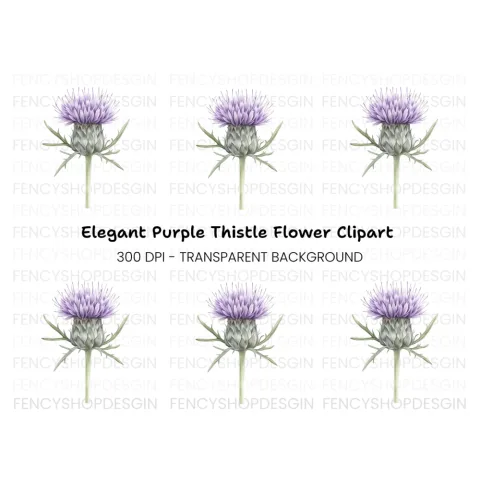Elegant Thistle Bloom Clipart Bundle