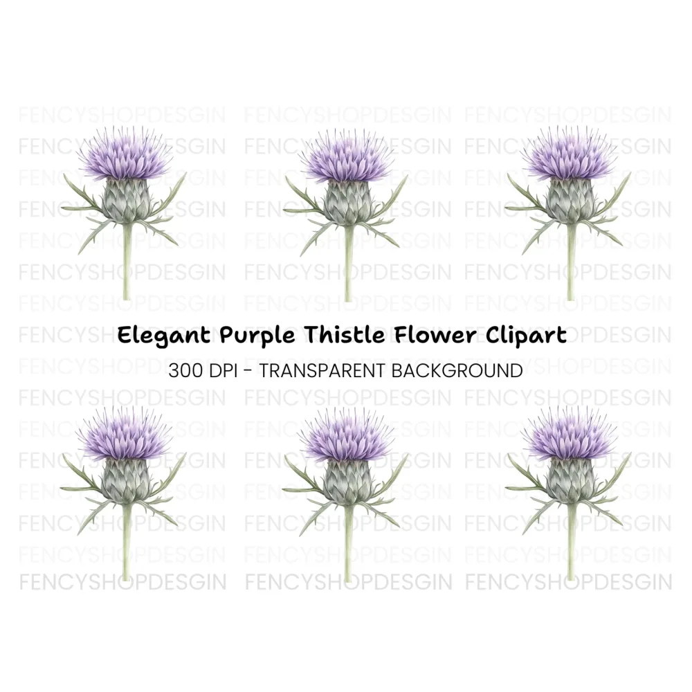 Elegant Thistle Bloom Clipart Bundle