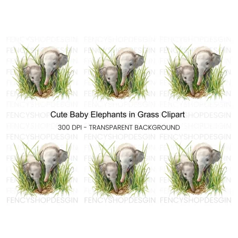 Adorable Baby Elephant Duo Clipart Bundle