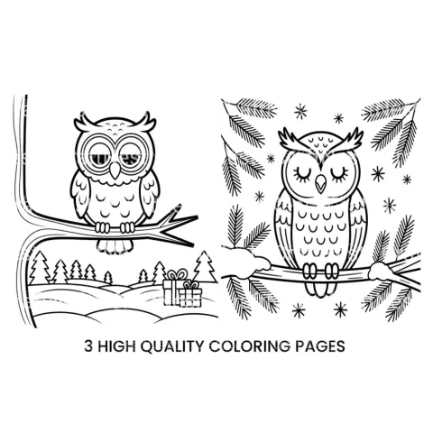 Cute Winter Owl Coloring Books