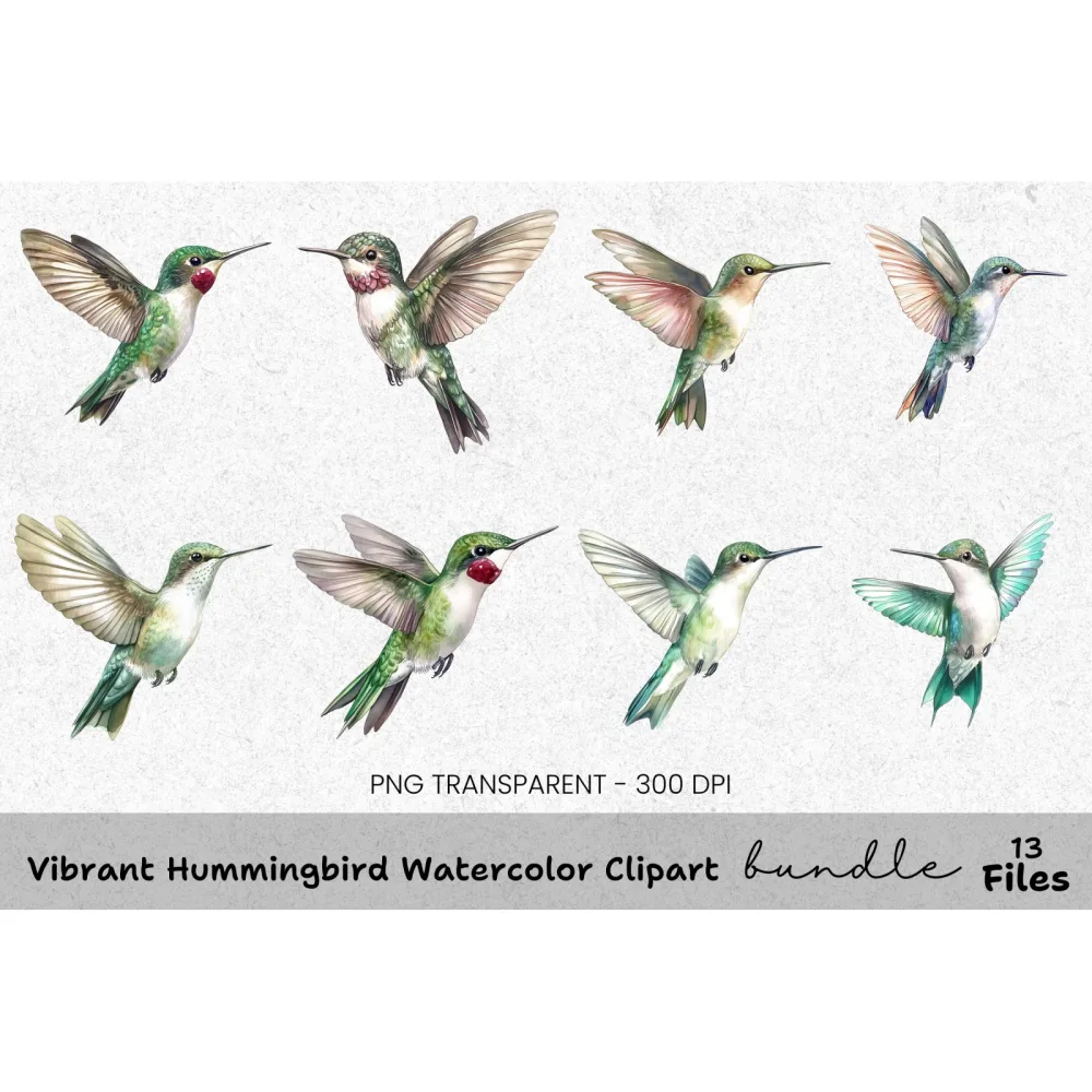Vibrant Hummingbird Clipart Bundle