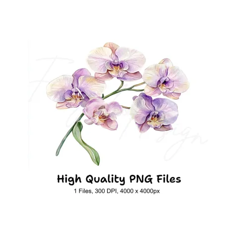 Elegant Orchid Clipart Bundle