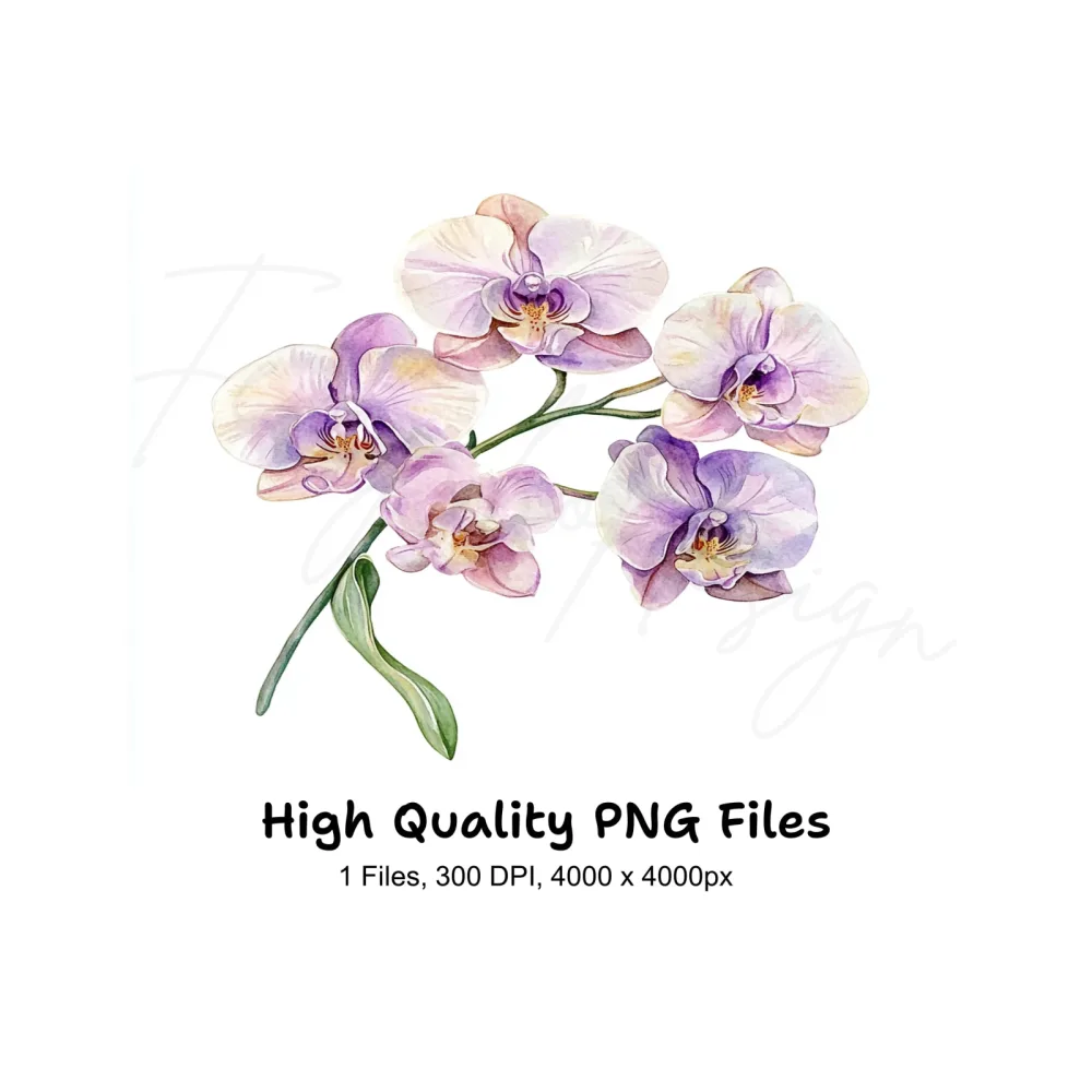 Elegant Orchid Clipart Bundle
