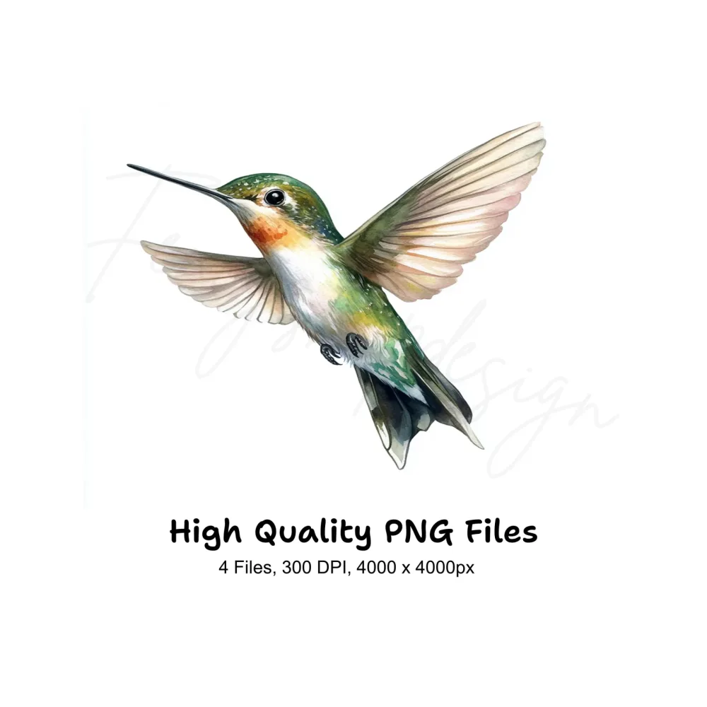 Hummingbird Clipart Bundle