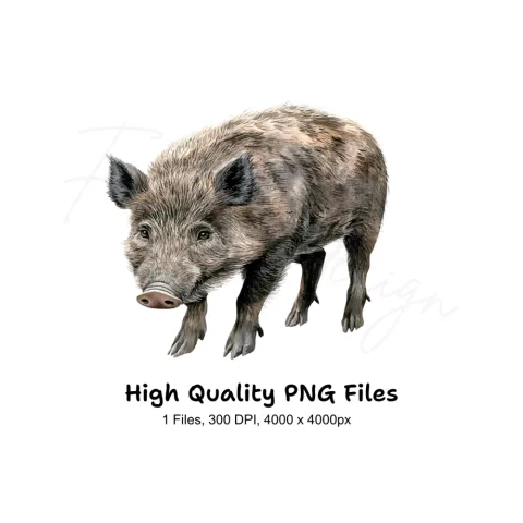 Wild Boar Clipart Bundle