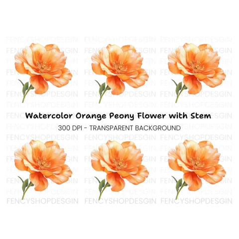 Vibrant Orange Flower Clipart Bundle