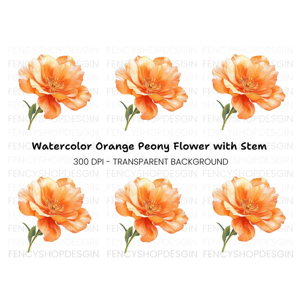 Vibrant Orange Flower Clipart Bundle
