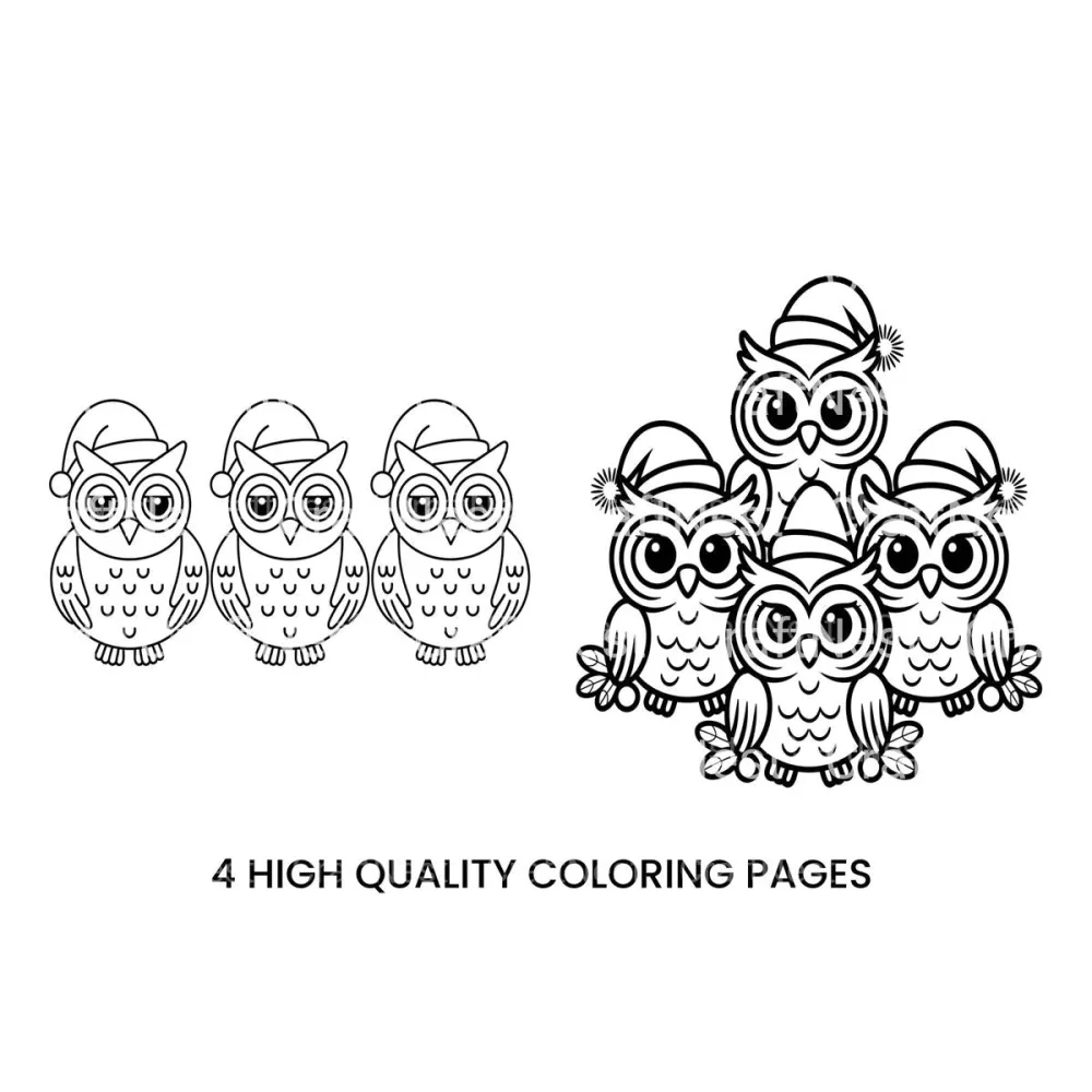 Festive Owls Christmas Coloring Books