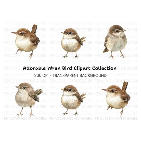 Cute Little Brown Birds Clipart Bundle