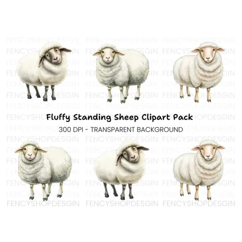 Cute White Sheep Clipart Bundle