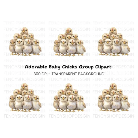 Adorable Baby Chicks Clipart Bundle