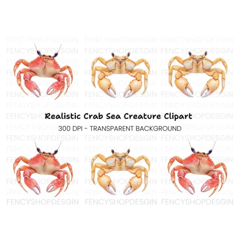 Vibrant Crab Duo Clipart Bundle