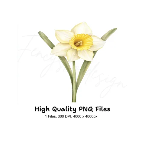 Daffodil Clipart Bundle